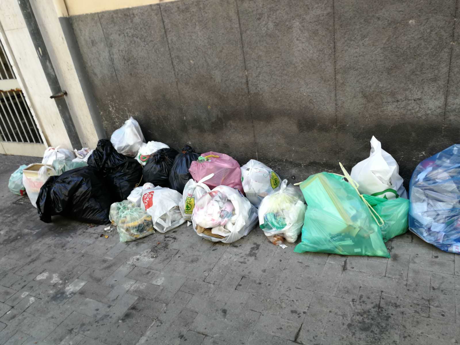Città invasa da sacchetti, siringhe, rifiuti speciali: persino i “corvi-spazzini” non avrebbero modo di essere utili – FOTO