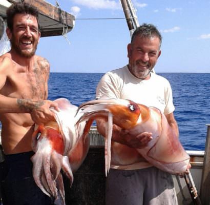 Calamari giganti pescati nei pressi di Augusta: cugini di Catania incantano tutti