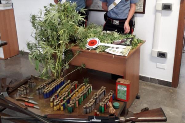 Serra con piantine di marijuana e fucili con colpo in canna in casa: in manette un 46enne