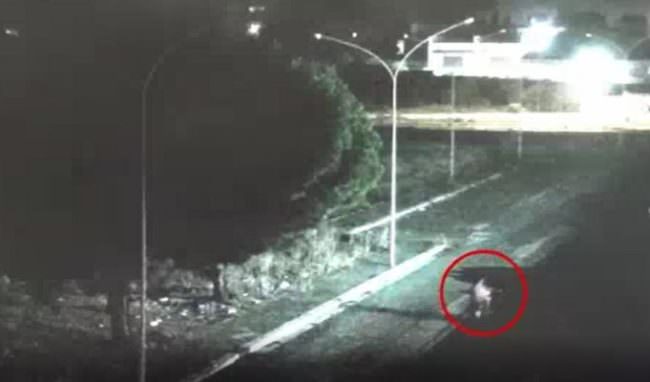 “Frocio”, picchiati con guinzaglio, derubati e insultati: così terrorizzavano e rapinavano gli omosessuali – VIDEO