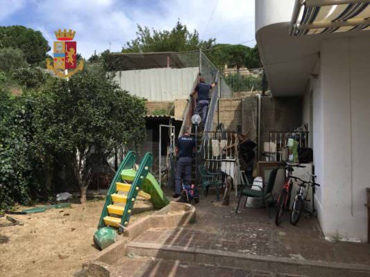 Droga nel giardino: oltre 2 chili di marijuana
