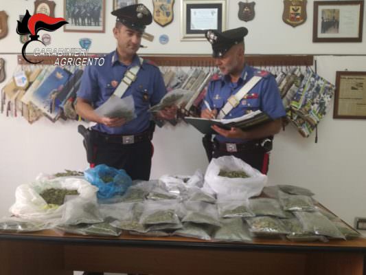 Marijuana tra vecchi divani e poltrone: trovata essiccata e pronta alla vendita