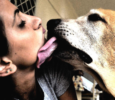 Un naso freddo e bagnato, una coda e un cuore pieno d’amore: oggi la giornata dedicata agli amanti dei cani