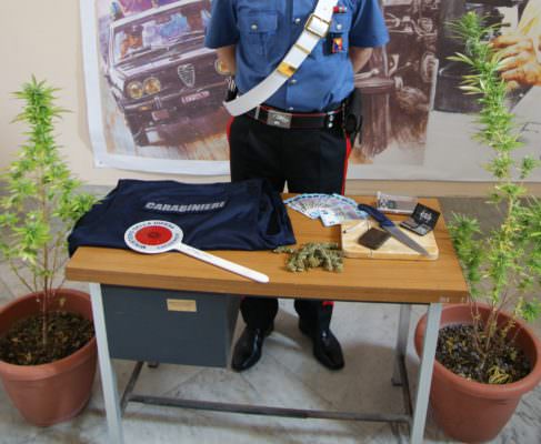 Carabinieri al citofono, lui apre la porta con lo spinello in mano: dentro casa piante di marijuana