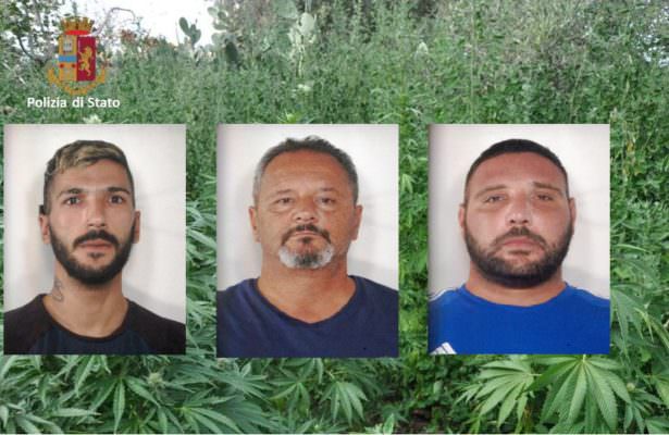 Gestivano piantagione di marijuana nel Catanese e spacciavano droga: tre arresti – FOTO e VIDEO