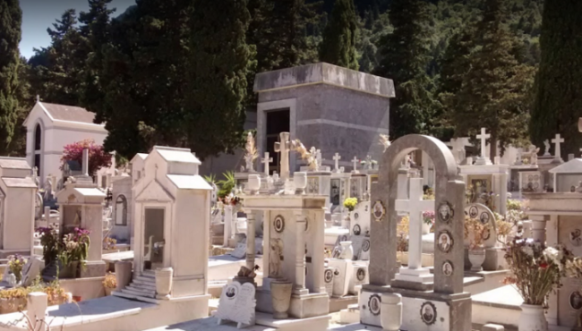 Vento forte a Palermo, danni al cimitero dei Rotoli: cipressi sradicali e vasi “volati” via, disagi per visitatori