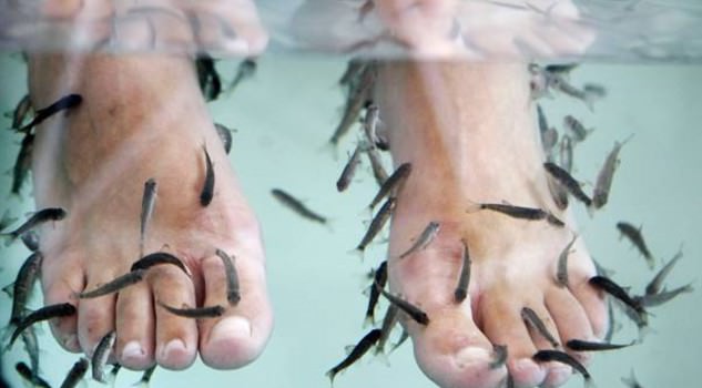 Vacanza in Thailandia sfiora la tragedia: 20enne fa un pedicure con pesci ma le amputano quattro dita