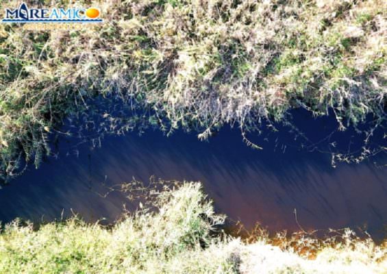 Fiume Magazzolo scuro per presenza di acque di vegetazione, Mareamico: “Servono controlli nei frantoi”