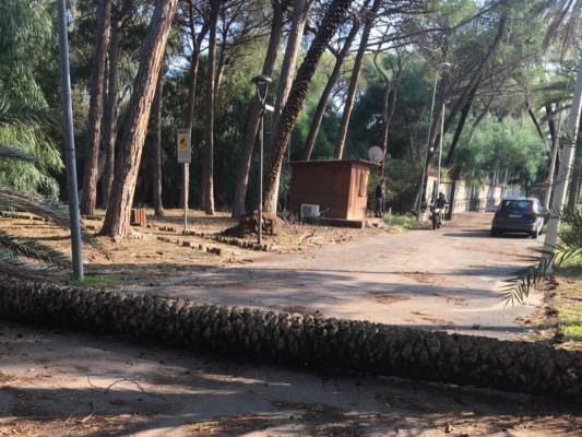 Disagi per i poliziotti del reparto a cavallo di Catania, Siap: “Condizioni pericolose a cui sono esposti uomini e animali”