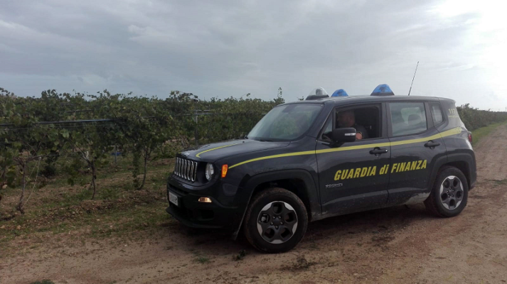 Agricoltura, scoperti nel Trapanese 12 lavoratori in nero: denunciati 2 titolari