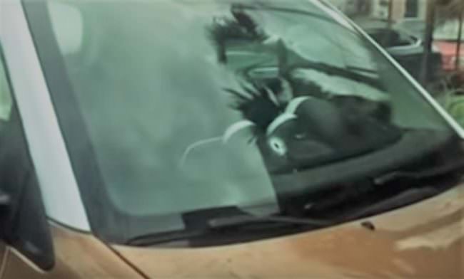 Terrore nel Catanese: 4 colpi di pistola contro auto