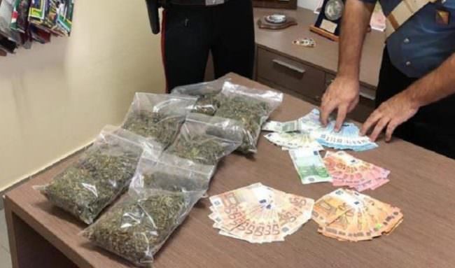 Coltivazione di marijuana in casa: in manette un 21enne