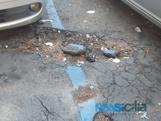 Catania, radici degli alberi distruggono strisce blu di via Principe Nicola. Ruffino: “Necessario intervenire, ma Comune ha le mani legate” – FOTO
