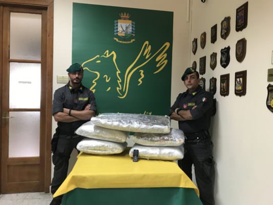 Blitz nel Catanese: dentro casa oltre 84 chili di marijuana