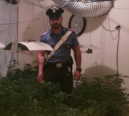 Sorpresi in casa con 145 piantine di marijuana: in manette tre uomini