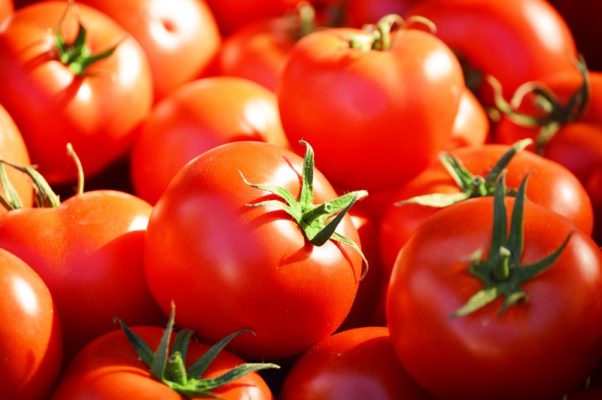 Allarme pomodori italiani, trovate elevate quantità di insetticida: possibili danni al cervello dei bambini