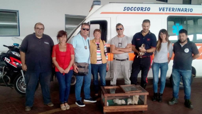 Cuccioli abbandonati in uno scatolone trovati e salvati dai carabinieri
