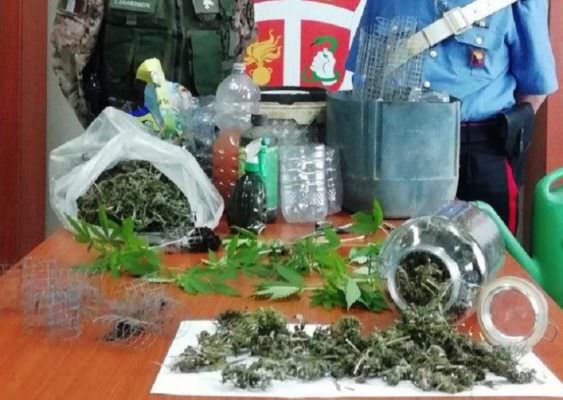 Biancavilla, produceva la marijuana che vendeva ai clienti della propria sala giochi: arrestato 30enne