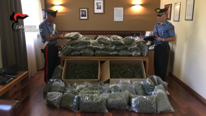 Naro, sequestrate una pistola detenuta da un dipendente comunale e 30 tonnellate di marijuana: sul mercato avrebbero fruttato 15 milioni di euro