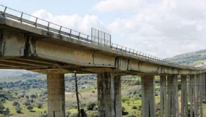 Ponte Morandi torna a “fiorire”: erbacce dalle crepe, viadotto rischia crollo
