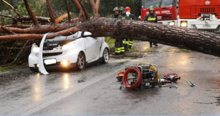 Pino frana su una Smart, morti due giovani. Altre tre vittime a causa delle forti raffiche di vento