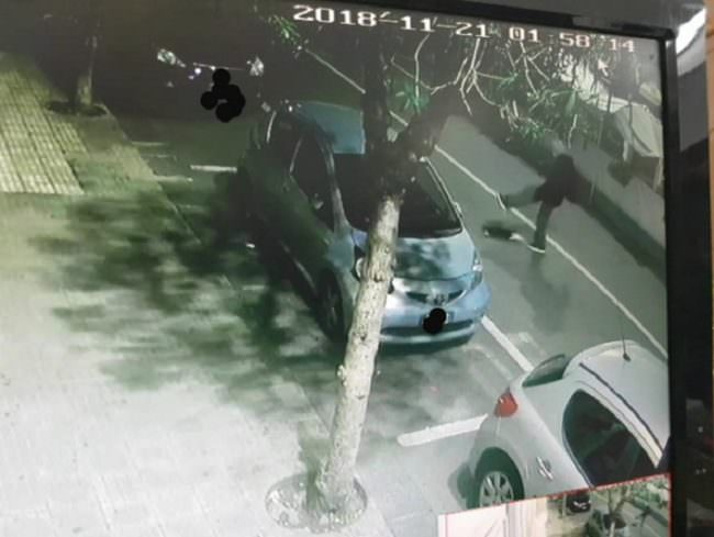 Gatto ucciso barbaramente a calci in pieno centro: sdegno, choc e orrore in città