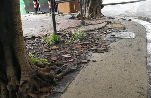 Catania, recupero piazze e fontane finite nel degrado. Terranostra: “Restituire luoghi di socializzazione ad anziani e bimbi”