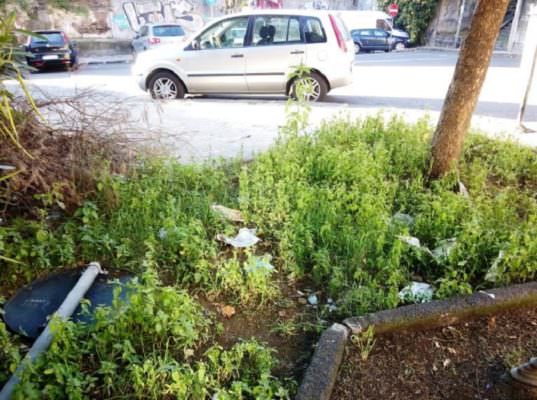 Oasi verdi del quartiere Borgo-Sanzio abbandonate al degrado, Comitato Cittadino Vulcania: “Necessario piano di bonifica”
