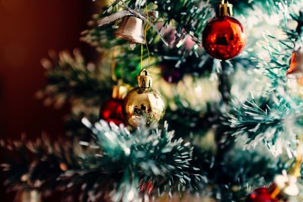 Una tradizione pagana riletta in chiave cristiana: la STORIA dell’albero di Natale