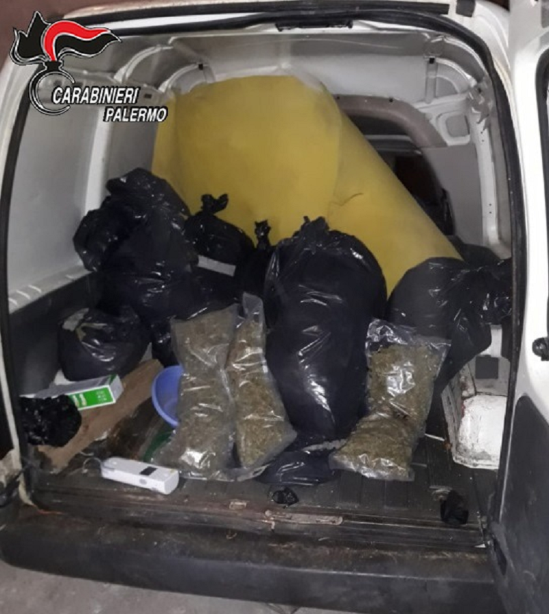 Maxi sequestro di marijuana a Partinico, 27 chili di droga in campagna