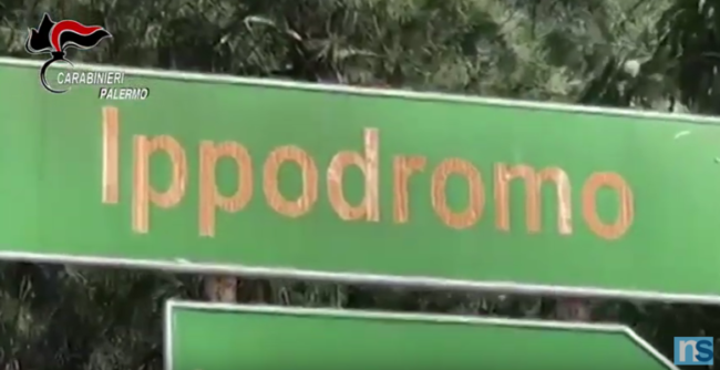Palermo, furti e danneggiamenti all’Ipprodromo. Sindaco Orlando: “Atto incivile”