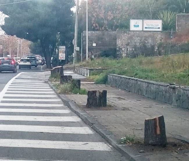 Appello Comitato Cittadino Vulcania: “Più verde urbano nei nostri quartieri” – FOTO