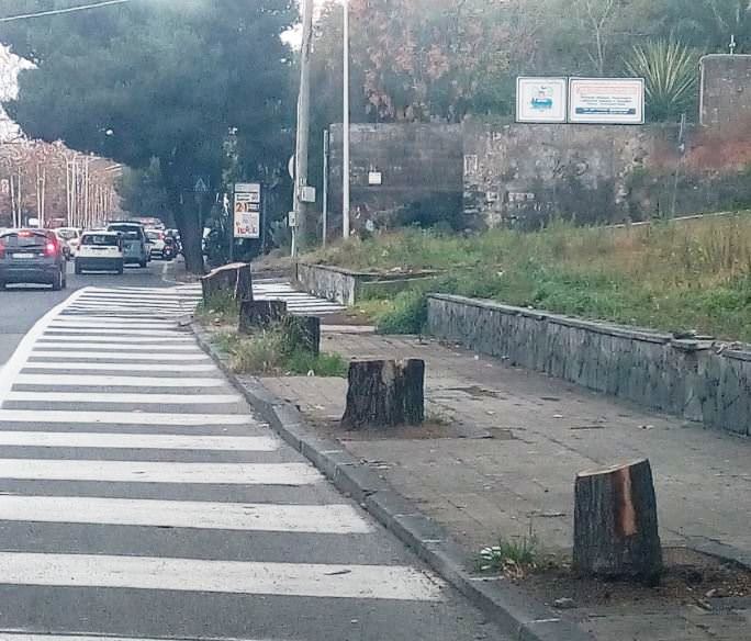 Appello Comitato Cittadino Vulcania: “Più verde urbano nei nostri quartieri” – FOTO