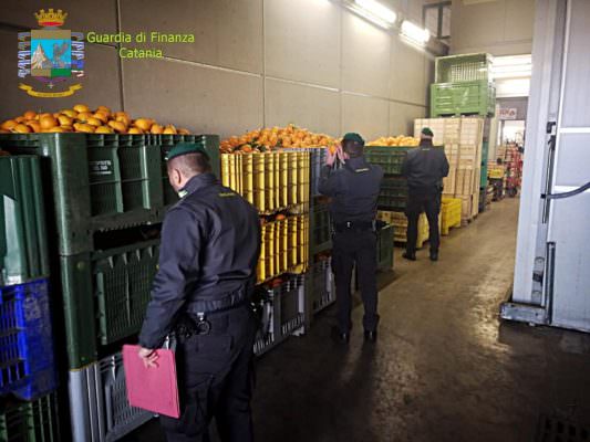 Catania, sequestrate 12 tonnellate di arance senza tracciabilità