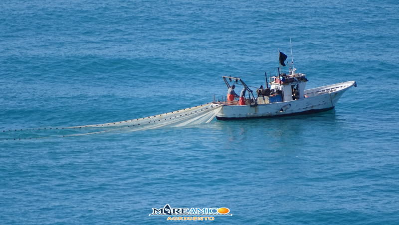 Pesca illegale del novellame, danni per l’ambiente: sequestri e sanzioni – FOTO e VIDEO