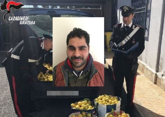 Catanese in trasferta a Siracusa: 36enne ruba 200 chili di limoni