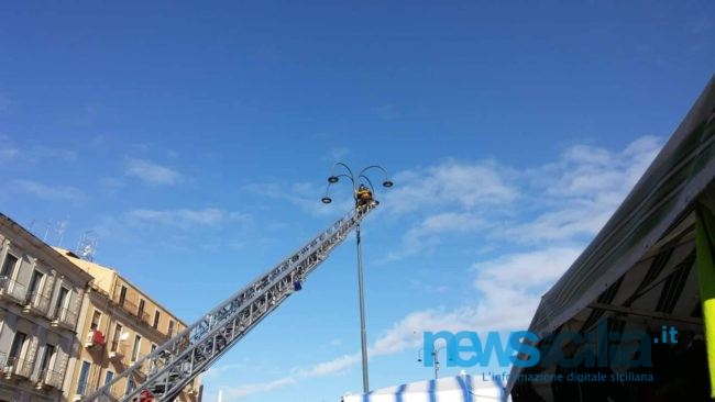 Catania, insolito salvataggio in piazza Carlo Alberto: gabbiano resta intrappolato in un lampione