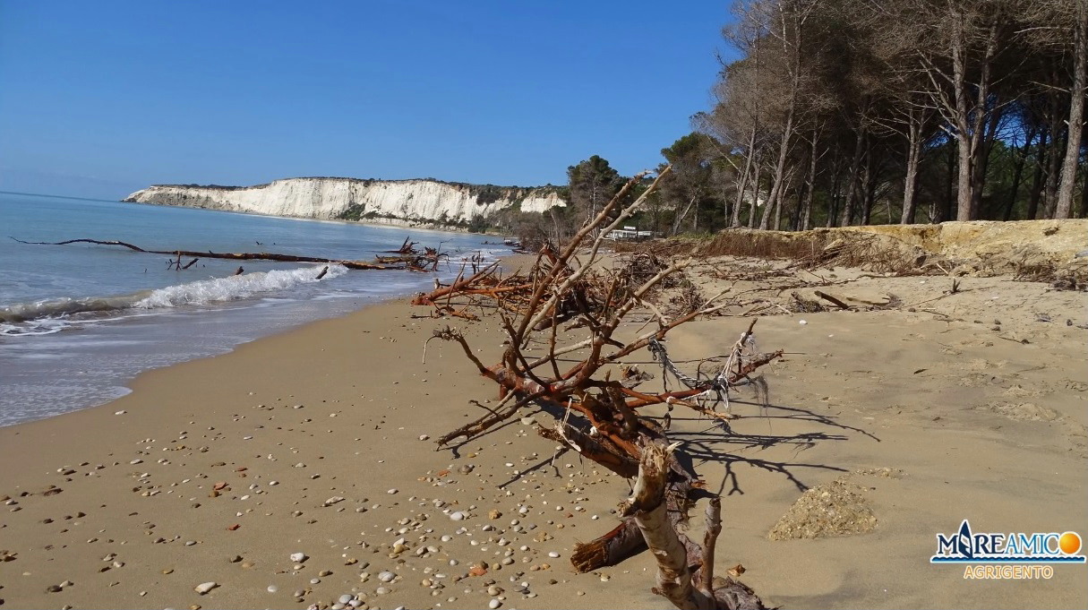 Eraclea Minoa, “tesoro” della Magna Grecia nel degrado: emergenza erosione e disboscamento – FOTO e VIDEO