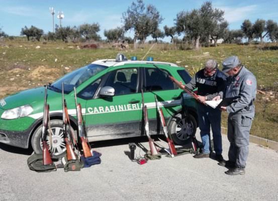 Caccia in periodo vietato, senza autorizzazioni e con dispositivo di richiamo non consentito: 7 denunce, sequestrate armi