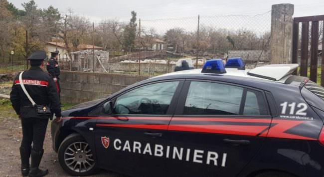 Carcasse bruciate, allevamenti illegali e alimenti in cattivo stato: denunciato proprietario di azienda zootecnica nel Catanese