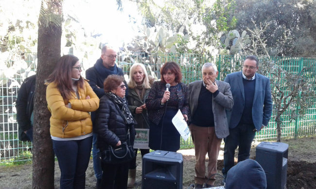 Alberi “simbolo” di impegno contro discriminazione e violenza all’istituto Leonardo da Vinci di Misterbianco