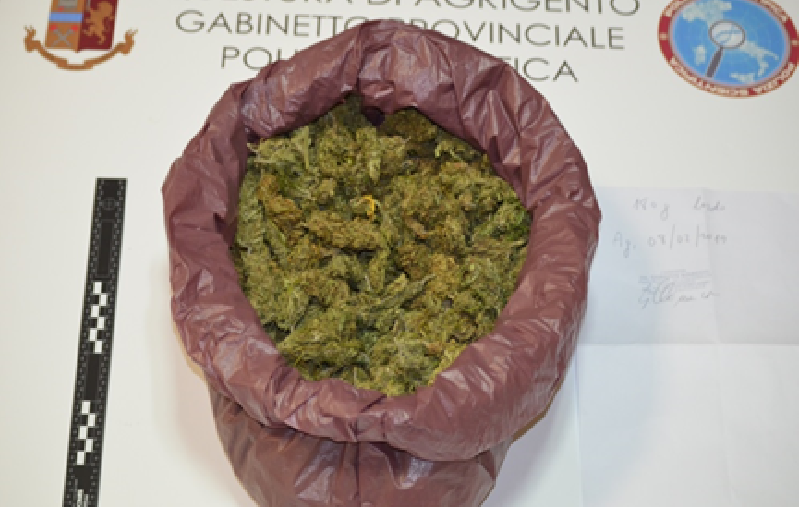Perquisizione in un’abitazione a Palma di Montechiaro: ritrovata marijuana, 32enne posto agli arresti domiciliari