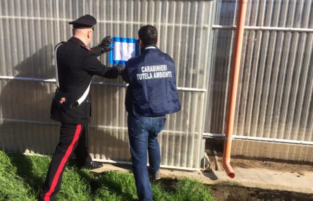 Sversava i liquami dell’allevamento nel fiume: sequestrata azienda zootecnica