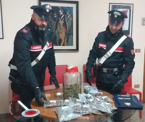 Nascondevano quasi un chilo di marijuana nelle proprie abitazioni: due uomini arrestati