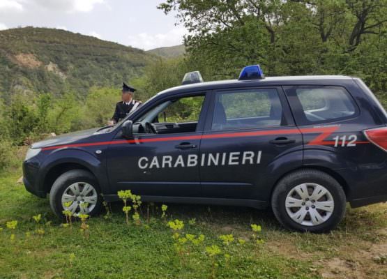 Fiamme al terreno per bruciare le sterpaglie: uomo arrestato per incendio boschivo