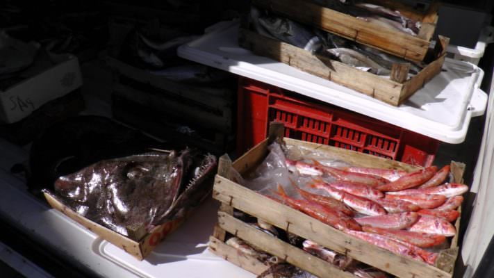 Mercato del pesce, norme igieniche non rispettate: scatta il sequestro di 350 chili
