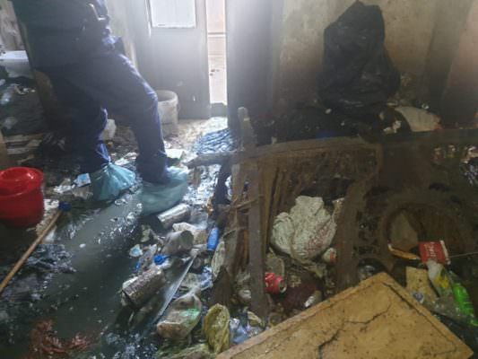 Degrado in casa, 10 cani detenuti in condizioni igieniche pessime: scatta la denuncia