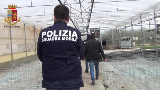 Sfruttamento lavoratori extracomunitari e furto luce: un arresto e una denuncia in due aziende agricole