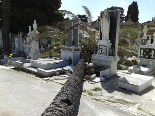 Sicilia “spazzata” dal forte vento, alberi caduti su cimiteri e strade: disagi in diverse province