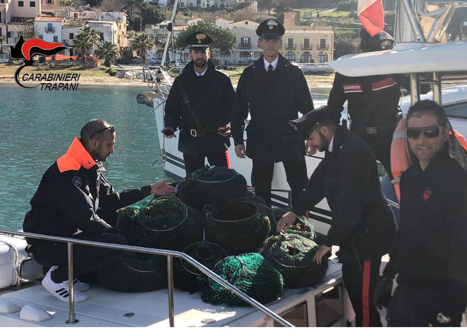 Pesca illegale, oltre 15mila ricci: sei uomini fermati e prodotti sequestrati